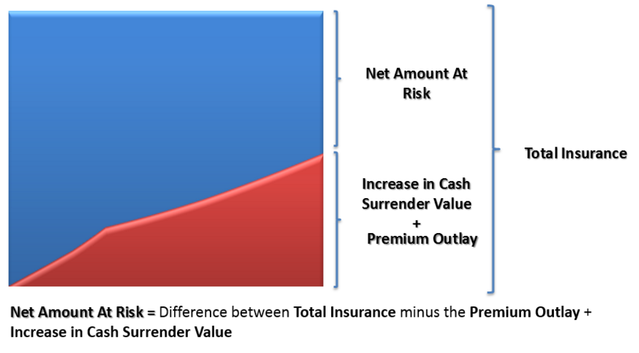 net-amount-at-risk